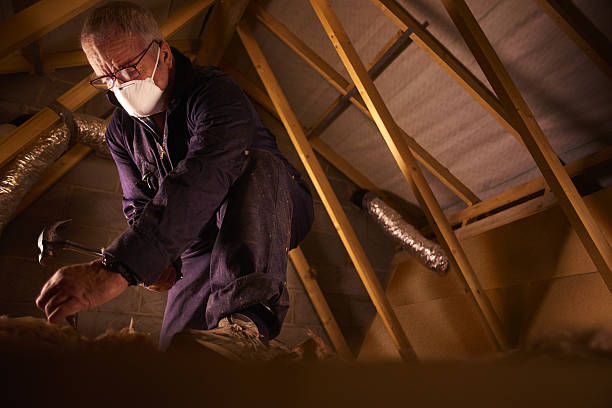 Best Eco-Friendly Insulation in Monroe Manor, NJ